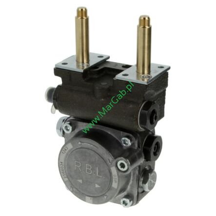 Pompa Riello RG2D RG4D 3007854