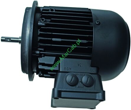Silnik Weishaupt G 5-1D 11155507260 alt 